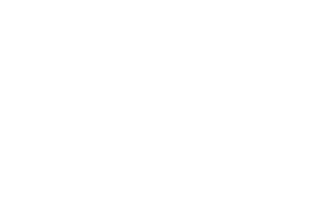 estrella logo